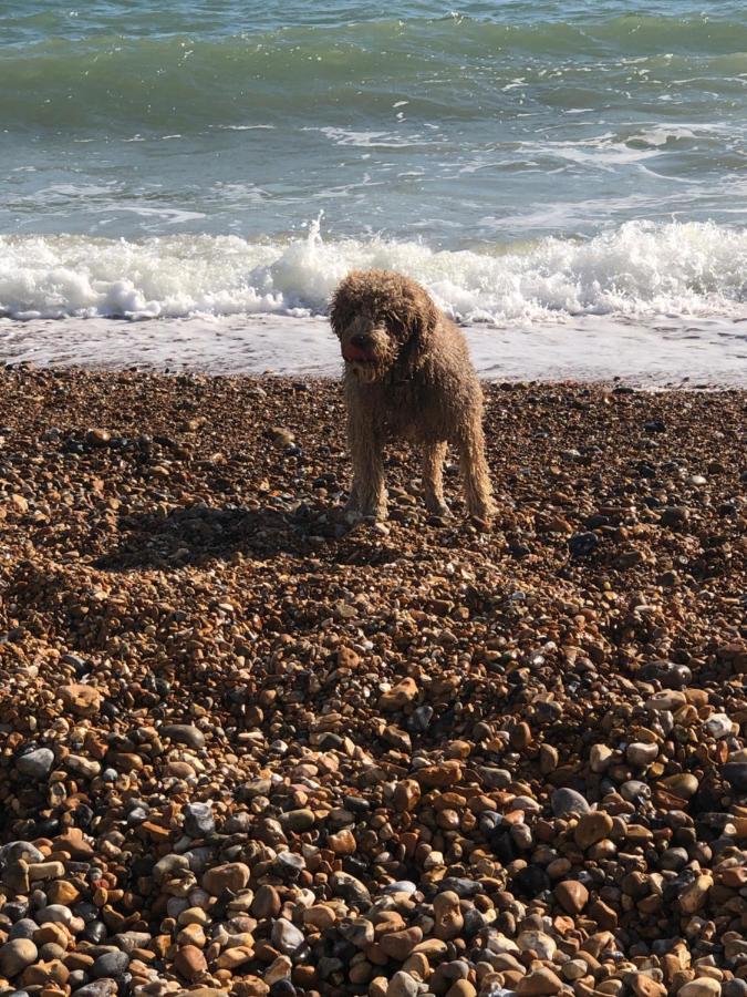 Poets Rest, Free Parking, Ev Socket Fees Apply Walk To Beach Hove Buitenkant foto